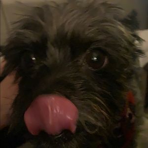 Meet your Posher, Kami